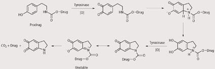 Scheme 3 - Suggested mechanism for release of cytotoxic drug by prodrug series 1