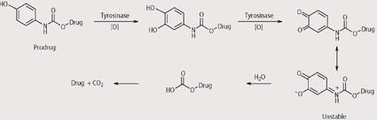 Scheme 4 - Suggested mechanism for cytotoxic drug release by prodrug series 2