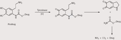 Scheme 5 - Suggested mechanism for cytotoxic drug release by prodrug series 3