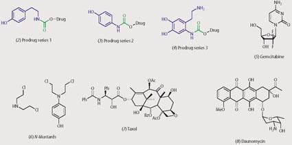 Structures of (2)-(8): prodrug series 1 (2), prodrug series 2 (3), prodrug series 3 (4), gemcitabine (5), N-mustards (6), taxol (7) and daunomycin (8).
