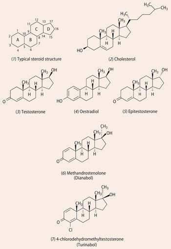 FEATURE-five-rings-STRUCTURES1-350