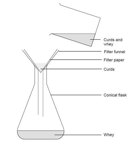 A diagram showing the equipment required for separating the curds and whey obtained from adding vinegar to milk