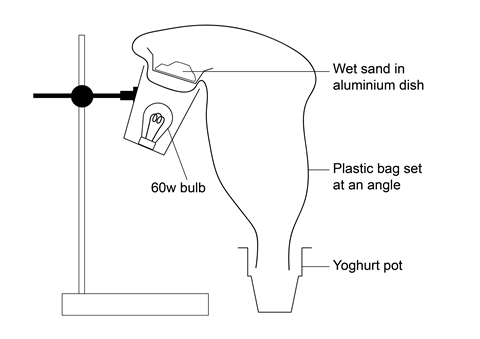 Diagram desert survival