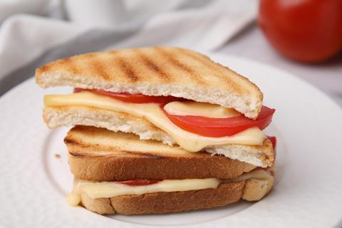 A cheese and tomato sandwich