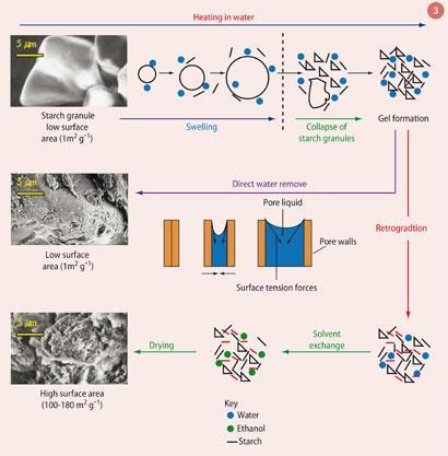 Figure 3 - Schematic of gelatinisation, retrogradation, solvent exchange and drying from starch