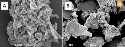 Figure 4 - SEM images of (a) virgin expanded PVA (10 μm) and (b) expanded PVA from waste LCD (10 μm)