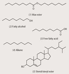 Structures 1-5: wax ester, fatty alcohol, free fatty acid, alkane, sterol/steryl ester