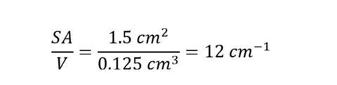 Equation for calculating the surface area to volume ratio worked example