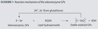 Scheme 1 - Reaction mechanism of the selenoenzyme GPx