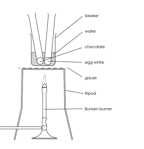 A diagram of the equipment needed for the heating chocolate and egg experiment