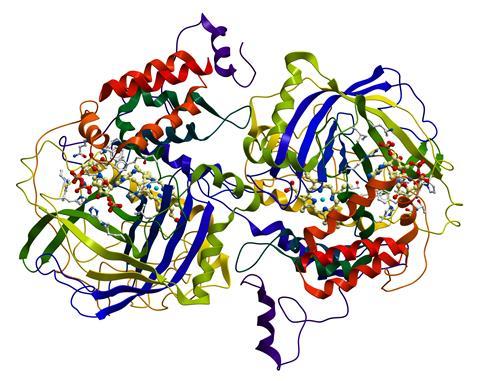 An image of catalase