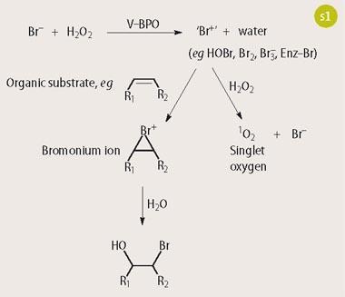 Scheme 1 - Transformation of organic substances by vanadium-bromoperoxidase (V-BPO)