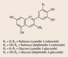 Rutinose and Glucose structures