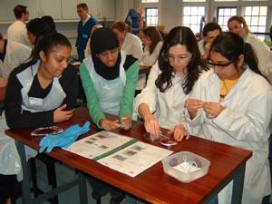 A group of students working together