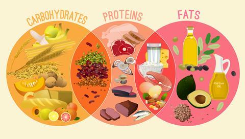 A venn diagram of examples of carbohydrates, proteins and fats