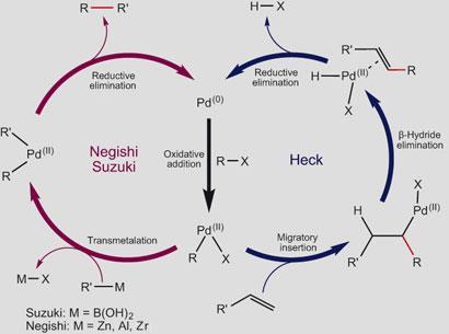 The Heck reaction