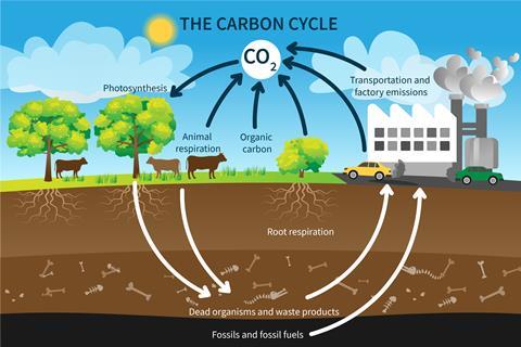 An illustration of the carbon cycle