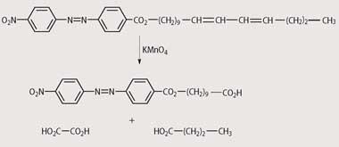 Scheme 1 - Butenandt's oxidative degradation of bombykol ester