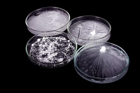 Four petri dishes showing different stages in the process of crystallising sodium acetate