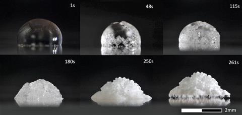A series of photos of salt crystals forming above a solution