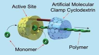 An illustration of the new 'enzyme'