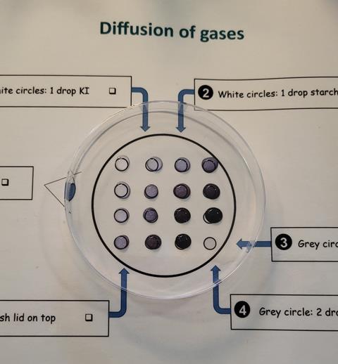 The completed experiment: the three drops nearest the grey circle are dark blue/black, around them the drops are lighter in colour - the furthest drops are colourless