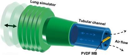 A simulated respiration device for harvesting energy