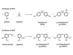 Reaction scheme for the synthesis of BPA and BGF