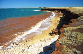 Dinoflagellates, or 'red tide' on a beach