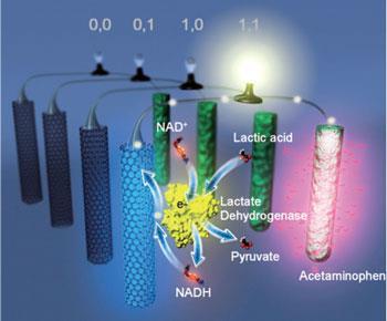 The 'nanopharmacy' uses Boolean logic to decide whether or not to release a drug