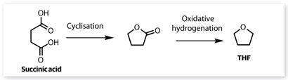 p24_Biorefineries_EiC_January-2013__410(b)