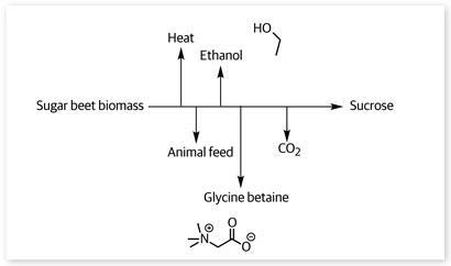 p24_Biorefineries_EiC_January-2013__410(t)