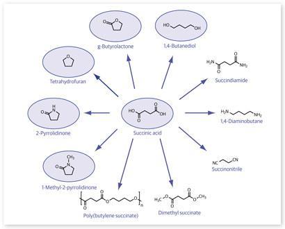 p25_Biorefineries_EiC_January-2013__410