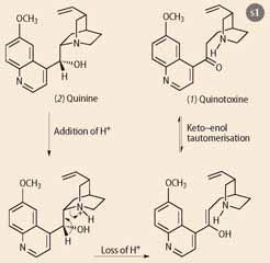 Scheme 1 - The synthesis of quinotoxine