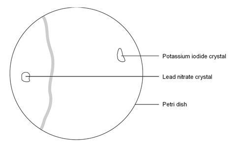 A diagram showing a petri dish, with crystals of potassium iodide and lead nitrate at opposite ends