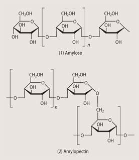 Structures: (1) amylose, (2) amylopectin