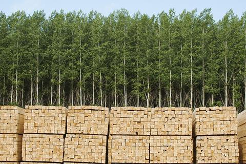 A photo of piled timber in front of a stand of trees