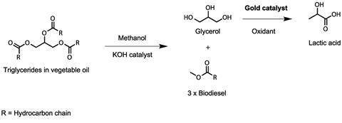 Converting glycerol into lactic acid 