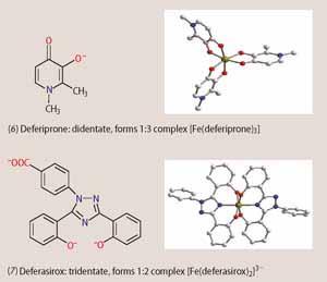 image - feature - dhume-klair - structures 6 and 7