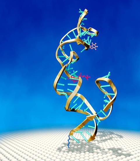 A 3d illustration of a short RNA structure on a surface