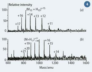 Figure 4 - ESI mass spectra of (a) cytochrome C; and (b) myoglobin.