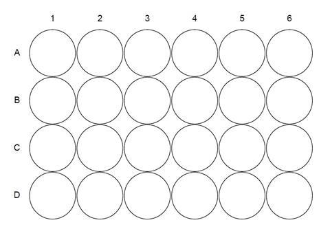 A diagram showing 24 numbered and lettered circles representing wells in a well-plate