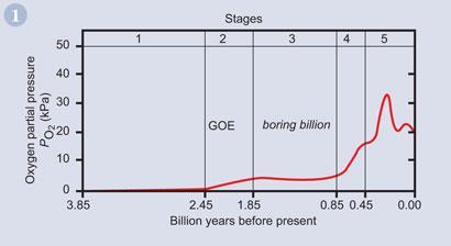 Figure 1 - The currently-accepted variation of atmospheric oxygen concentration over the last 4 billion years of the Earth's history1