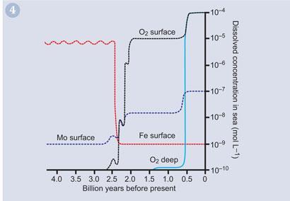Figure 4 - Estimated aqueous concentrations of iron (red), molybdenum (blue) and oxygen (black) in seawater over the last 4 billion years of the Earth's history