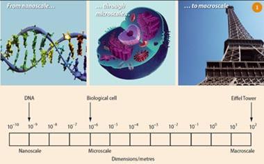 Dimensions of the nanoworld in perspective - DNA are 10-9 on a nanoscale, biological cells are 10-6 on a microscale and the Eiffel Tower is 102 on a macroscale