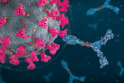 A digital illustration of an antibody binding to a coronavirus