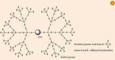 Figure 2 - Schematic of a dendrimer