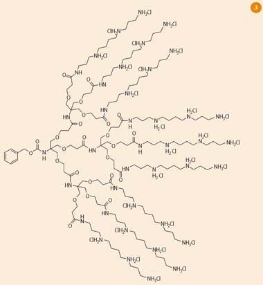 Figure 3 - Multivalent DNA binder with spermine groups on the surface