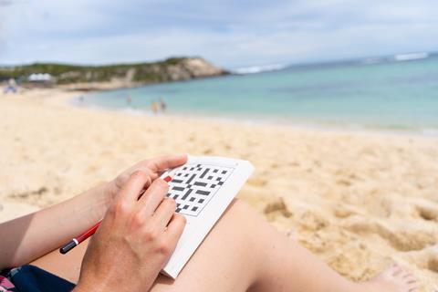 A woman doing puzzles on the beach