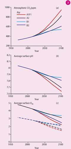 Figure 3 - Future projections of atmosphere and ocean surface water carbon dioxide system